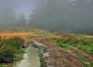 Jak podjechać pod górkę na lodzie?