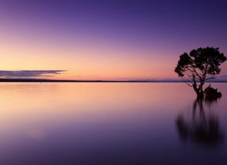 Czy wymienia się cała wodę w akwarium?